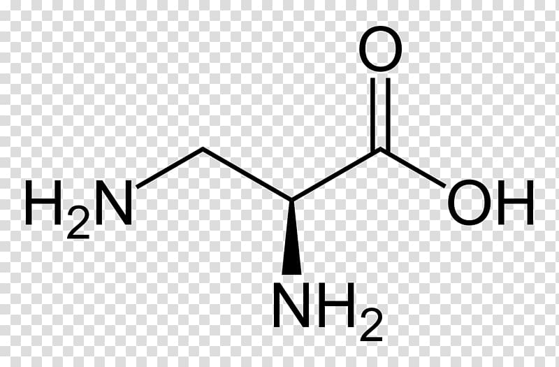 Essential amino acid Aspartic acid Taurine, Proteinogenic Amino Acid transparent background PNG clipart