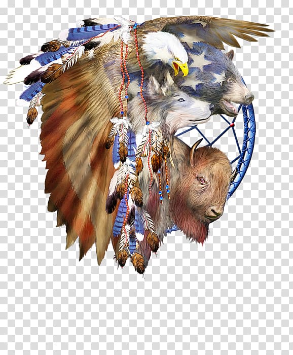 Beak Bald Eagle Bird of prey Dreamcatcher, Freedom transparent background PNG clipart