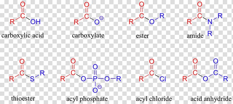 Ether Carboxylic acid Acyl group Ester Functional group, salt transparent background PNG clipart
