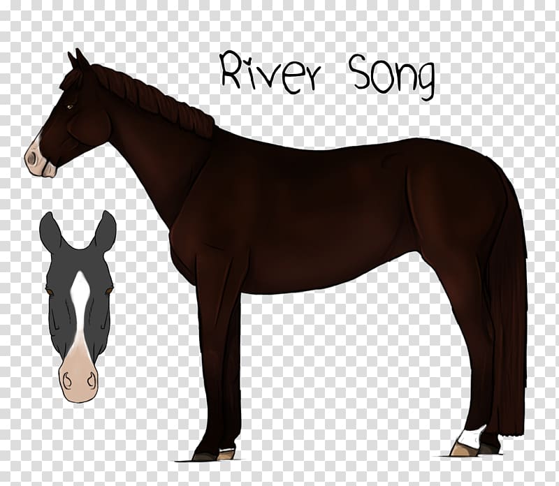 Mustang Stallion Mare Rein Pack animal, river song transparent background PNG clipart