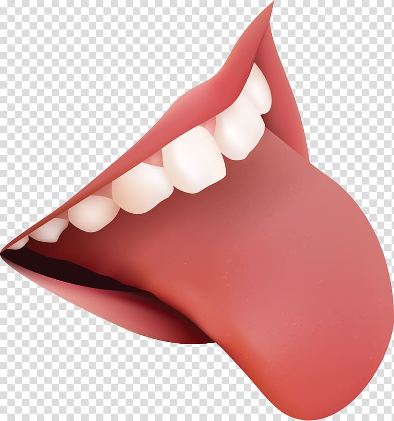 Teeth transparent background PNG clipart