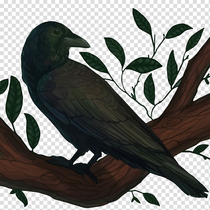 American crow New Caledonian crow Common raven Bird, Raven transparent background PNG clipart