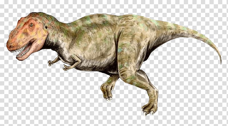 Tyrannosaurus Late Cretaceous Tyrannosauridae Ankylosaurus Spinosaurus, Green dinosaur transparent background PNG clipart
