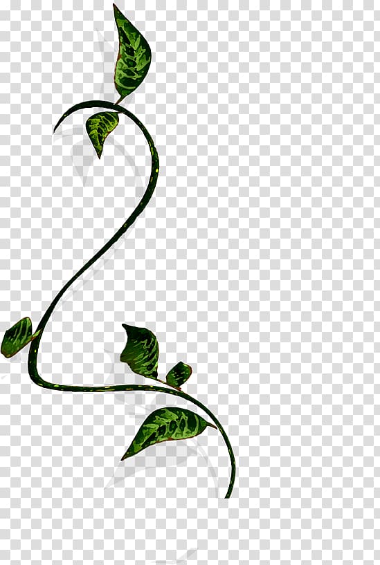 green leaf illustration, Branch Vine Wood , Twining vine wood material transparent background PNG clipart