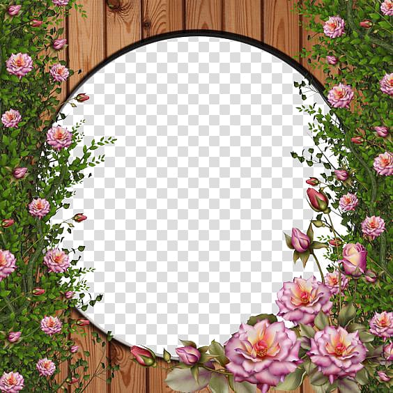 , Rose Vine transparent background PNG clipart
