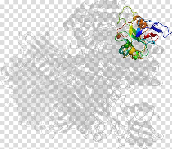 Character Fiction , Transferrin Receptor transparent background PNG clipart