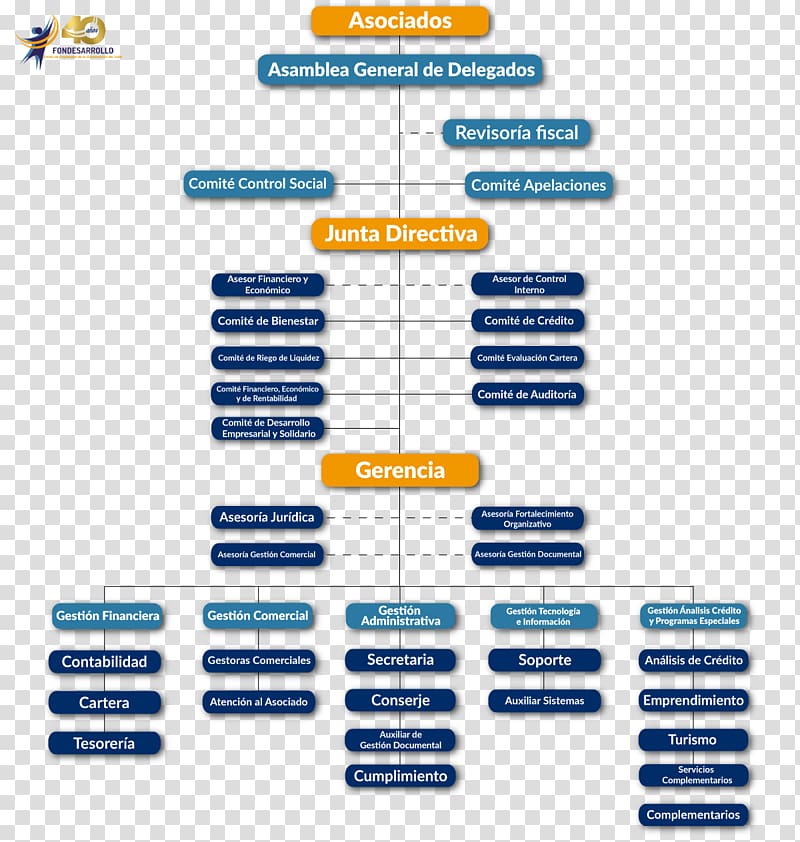 Organizational chart Empresa Micro-enterprise Correo corporativo, school season transparent background PNG clipart