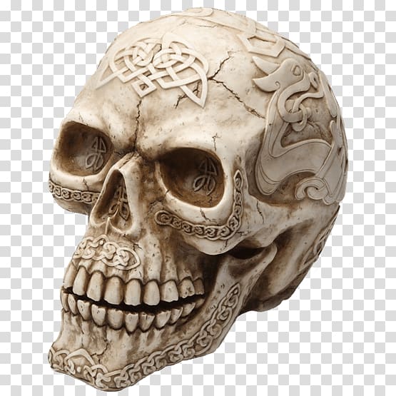 Skull Human skeleton Head Bone, skull transparent background PNG clipart