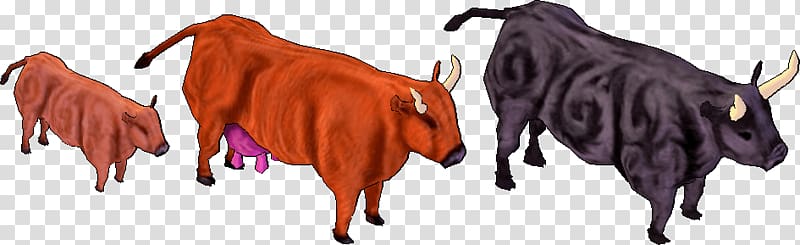 Cattle Ox Live Purebred Mustang, mustang transparent background PNG clipart