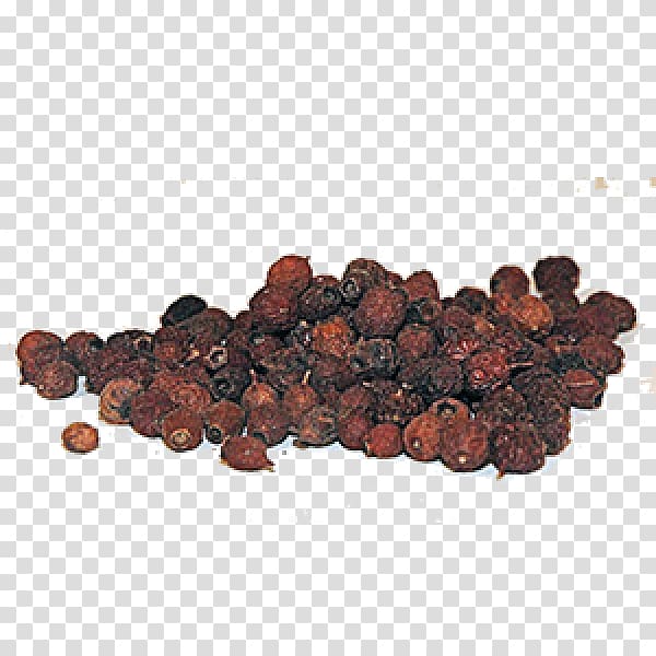 Superfood, hawthorn transparent background PNG clipart