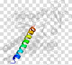 Organism , design transparent background PNG clipart thumbnail