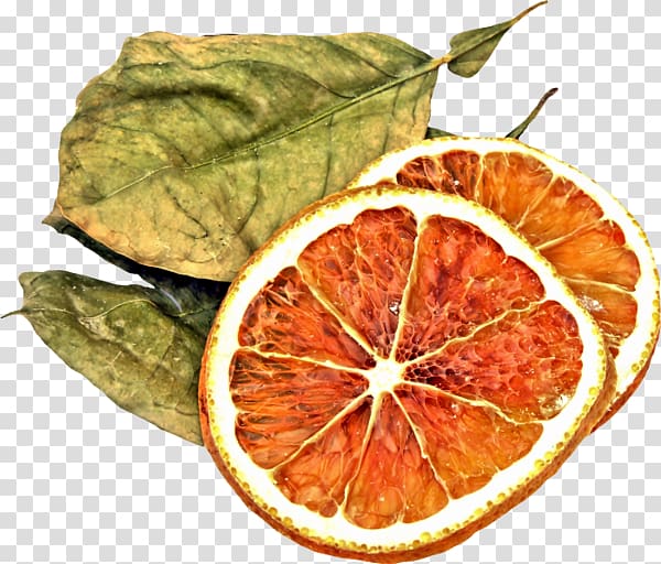 Orange Food drying Fruit, Painted dry lemon slices transparent background PNG clipart