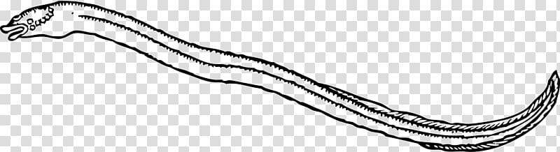 Moray eel Electric eel , eel transparent background PNG clipart