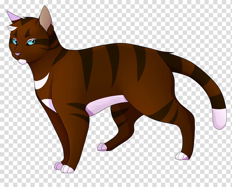 Kitten Whiskers Cat Warriors Hawkfrost, a difficult help comes from all quarters transparent background PNG clipart