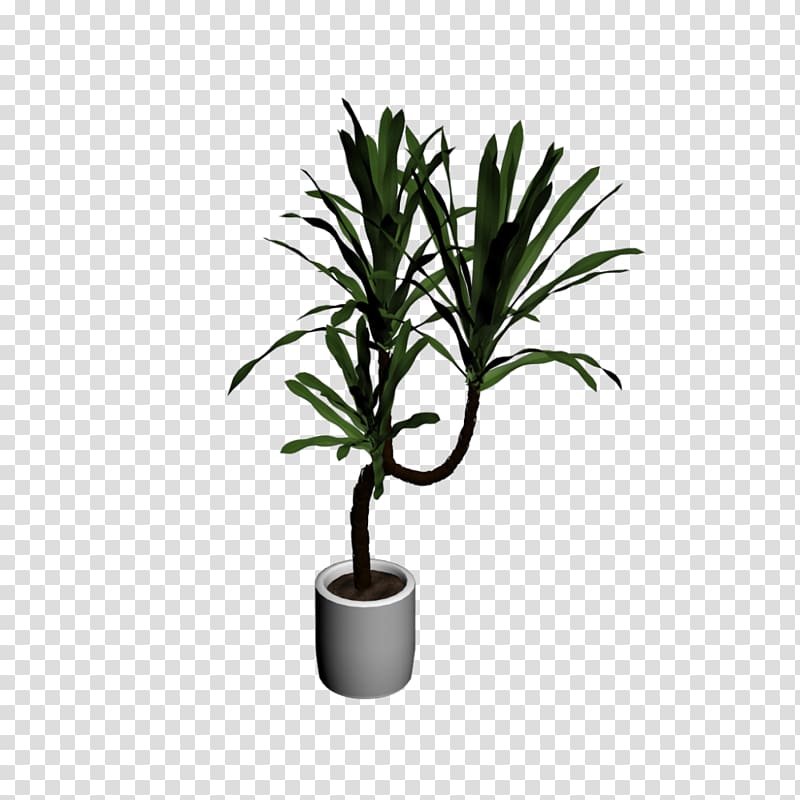 Houseplant Tree Flowerpot Room, cat palm transparent background PNG clipart