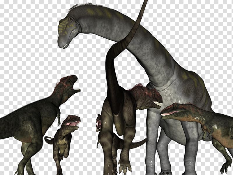 Velociraptor Carcharodontosaurus Tyrannosaurus Mapusaurus Spinosaurus, dinosaur transparent background PNG clipart