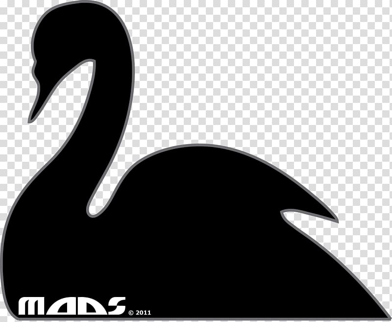 Goose Duck Black swan Water bird, swan transparent background PNG clipart