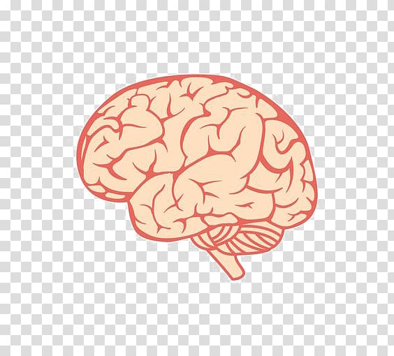 Human brain , Creative brain transparent background PNG clipart
