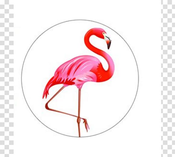 Red-crowned crane Bird Greater flamingo, crane transparent background PNG clipart
