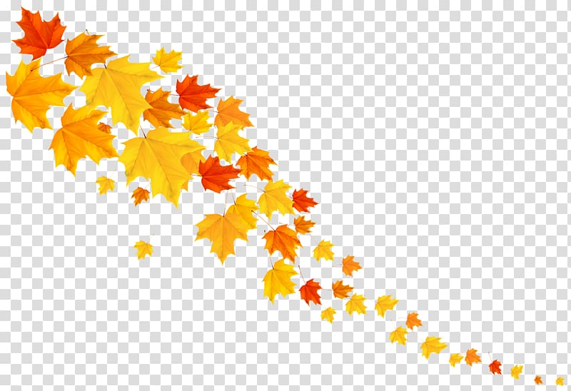 yellow maple leaves, Leaf Yellow Font Pattern, Autumn Leafs Decorative transparent background PNG clipart