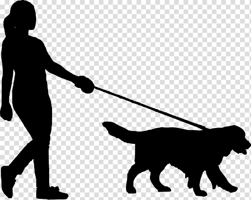 Dog walking Pet sitting, Dog transparent background PNG clipart | HiClipart