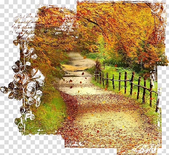 Desktop 1080p, autumn background transparent background PNG clipart