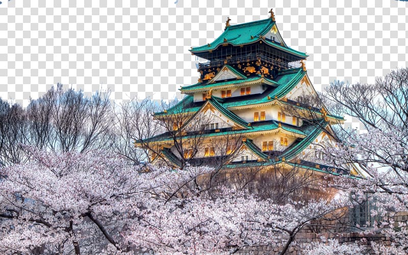 white and green pagoda surrounded with cherry blossom trees illustration, Osaka Castle Himeji Castle Namba Du014dtonbori Chxe2teau Miranda, Osaka city transparent background PNG clipart