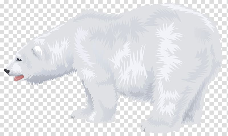 Polar bear Fur Wildlife Snout, Polar white bear transparent background PNG clipart