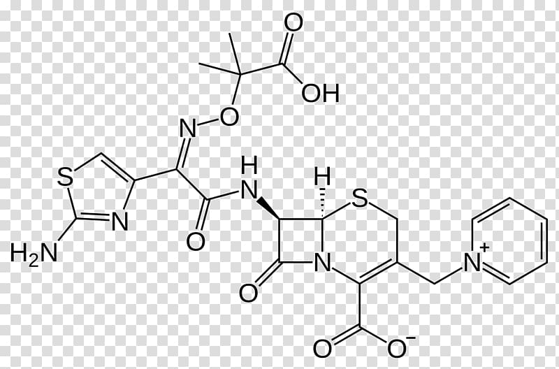 Ceftazidime/avibactam Cephalosporin Pharmaceutical drug, 春 transparent background PNG clipart