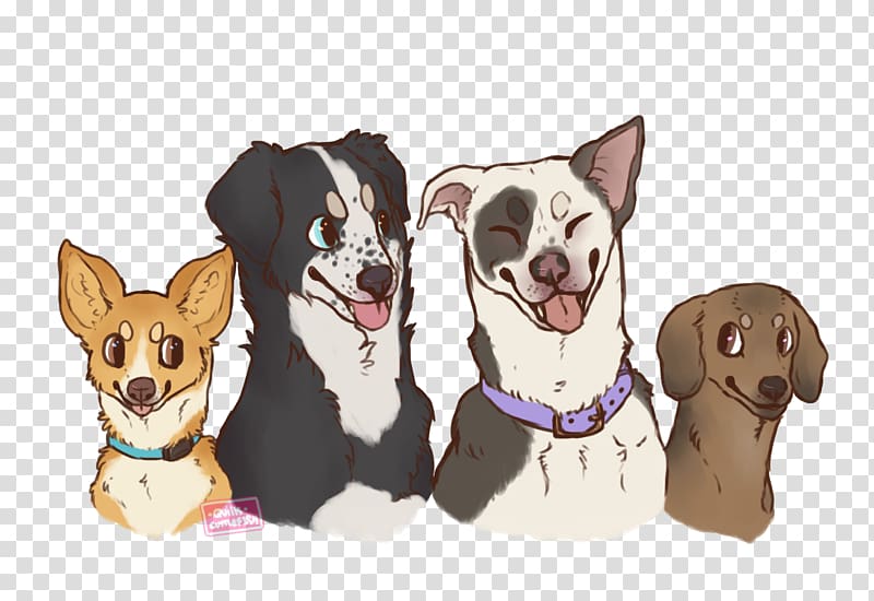 Puppy Border Collie Staffordshire Bull Terrier Dog breed, corgi transparent background PNG clipart