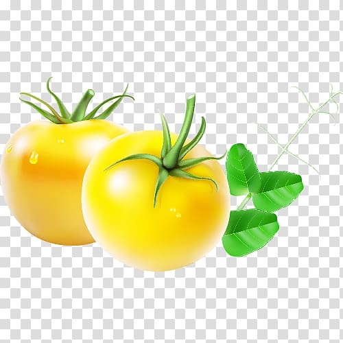 Tomato sauce Cartoon, Cartoon tomatoes transparent background PNG clipart