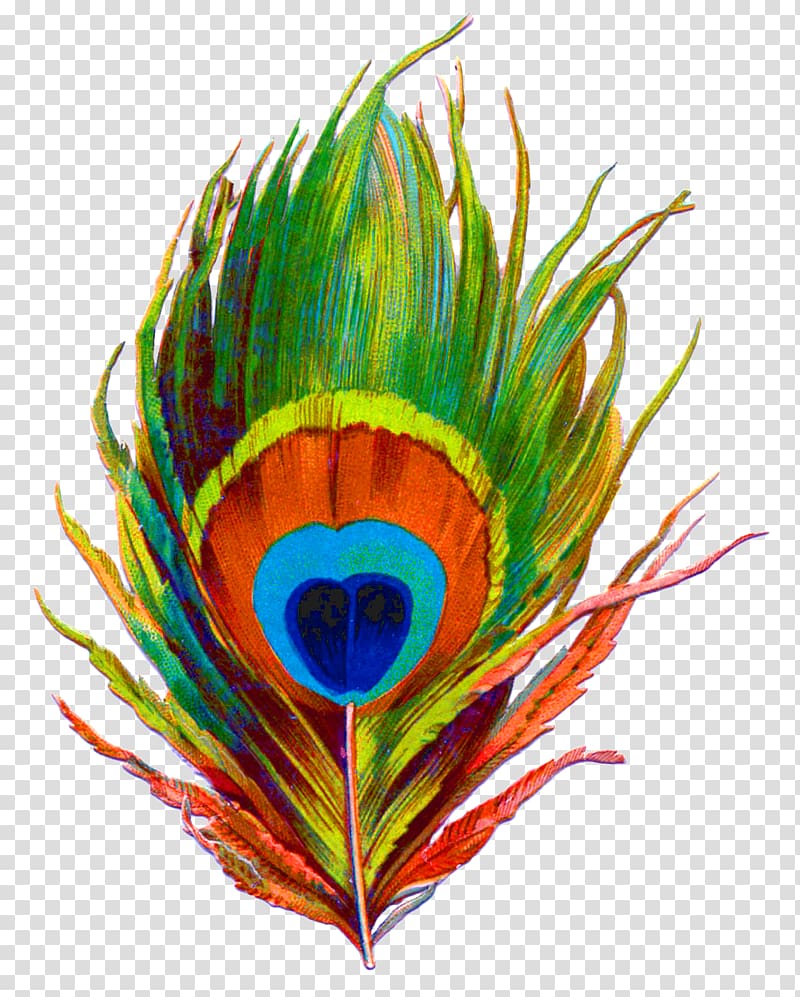 peacock feather art, Krishna Paper Feather Bird Peafowl, krishna transparent background PNG clipart