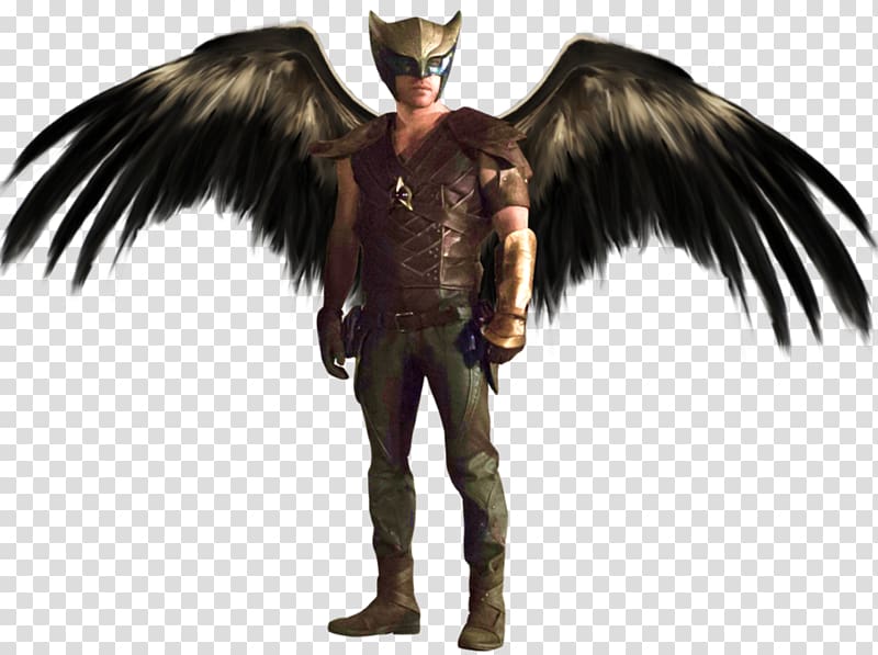 Hawkman Hawkgirl Green Arrow Huntress Rip Hunter, hawkman transparent background PNG clipart