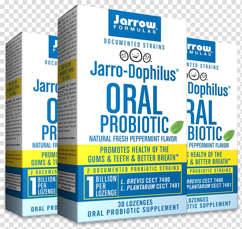 Probiotic Peppermint Lactobacillus brevis Throat lozenge Mouth, probiotic transparent background PNG clipart