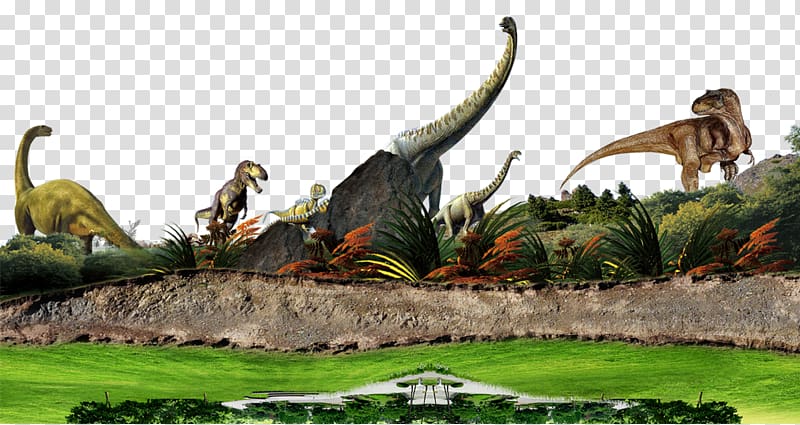 Tyrannosaurus Velociraptor Stegosaurus Dinosaur, dinosaur, poster, grass,  terrestrial Animal png