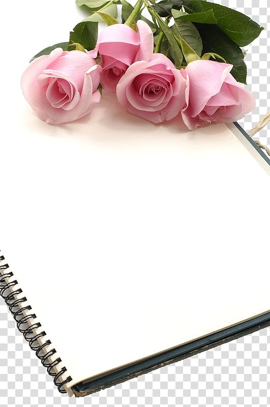 pink roses on white notebook illustration, Urdu poetry Islam Achi, Rose and book transparent background PNG clipart