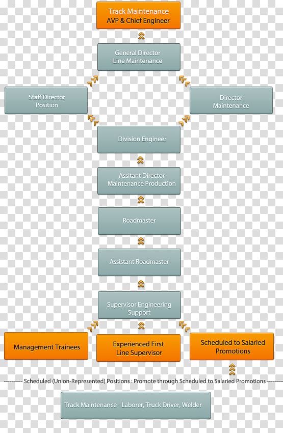 Business Career ladder Organization Human resource, Business transparent background PNG clipart