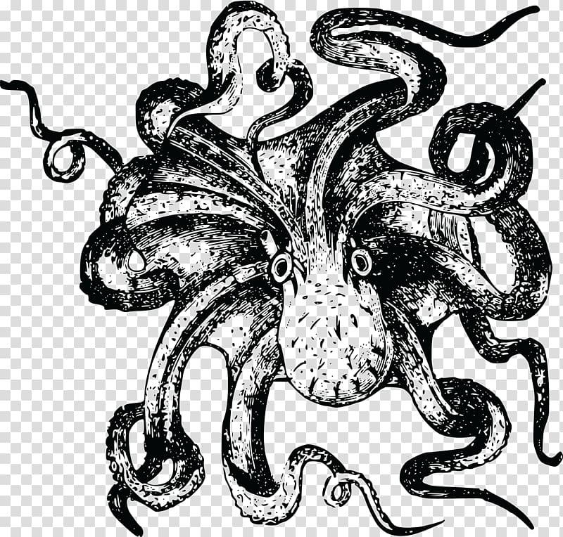 Octopus Sea monster Drawing , octopus. transparent background PNG clipart