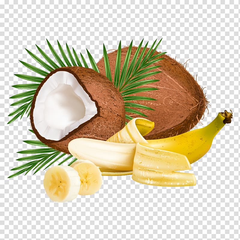 Coconut Leaf , Coconut transparent background PNG clipart