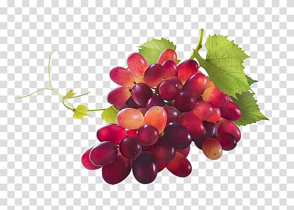 Sultana Zante currant Grape Chardonnay Pinot noir, Pinot Meunier transparent background PNG clipart