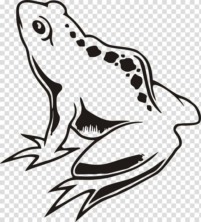 Frog Drawing graphics, green frog transparent background PNG clipart