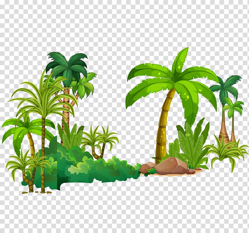 green palm tree , Tree Tropical rainforest Euclidean , tropical rain forest transparent background PNG clipart