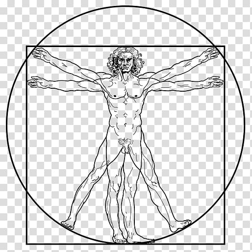 Vitruvian Man The Creation of Adam Drawing, Geometria sagrada transparent background PNG clipart