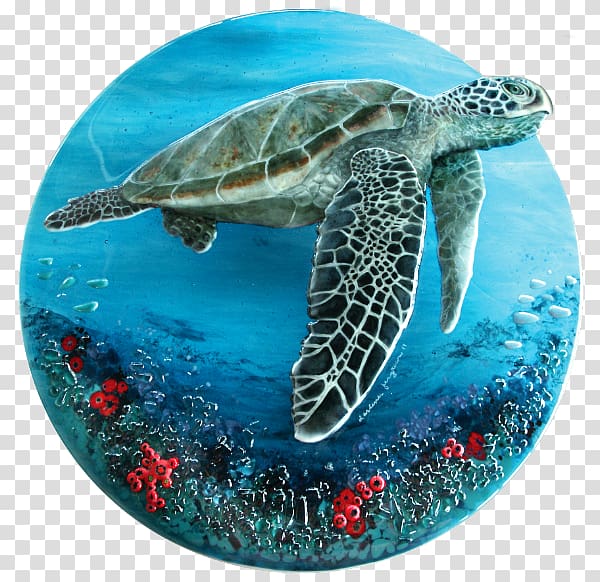 Loggerhead sea turtle Hawksbill sea turtle Fused glass, turtle transparent background PNG clipart
