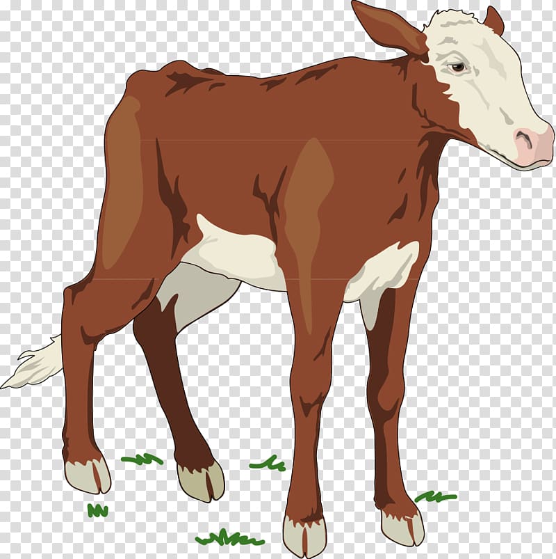 Holstein Friesian cattle Jersey cattle Ayrshire cattle Brown Swiss cattle , cow transparent background PNG clipart