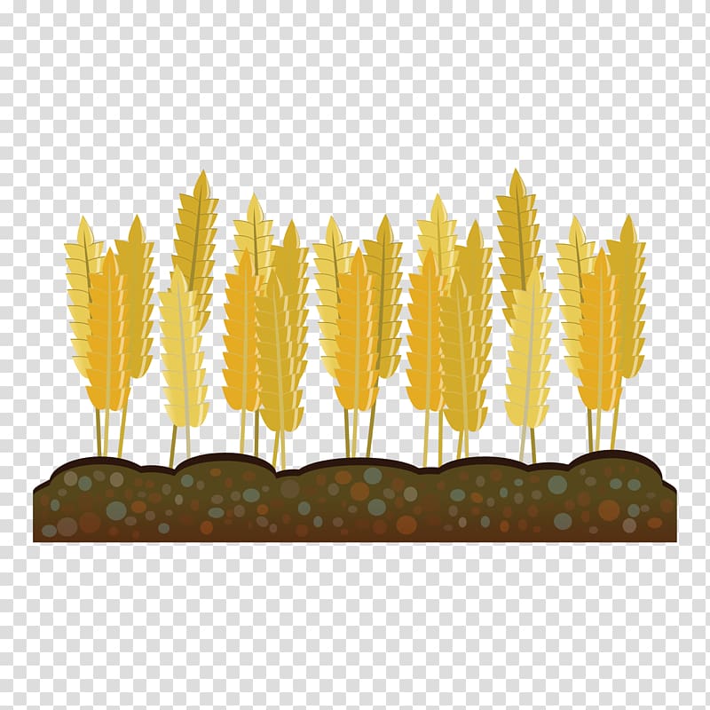 Crop Farm Agriculture Harvest , wheat transparent background PNG clipart