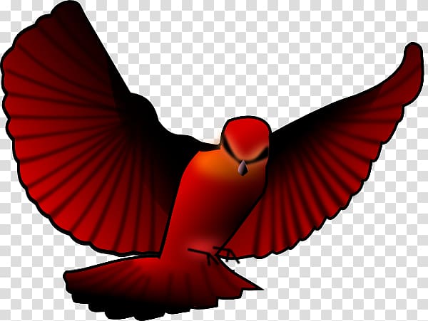 Bird Open Northern cardinal, red birds transparent background PNG clipart