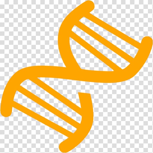 Nucleic acid double helix DNA Computer Icons, transparent background PNG clipart