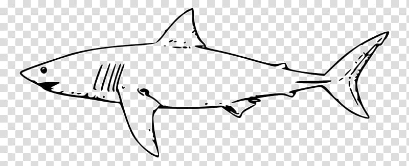 Great white shark Shark Jaws Drawing , shark transparent background PNG clipart