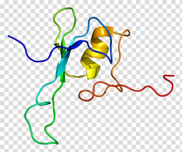 MBD1 MECP2 Wikipedia Methyl-CpG-binding domain Methylation, others transparent background PNG clipart